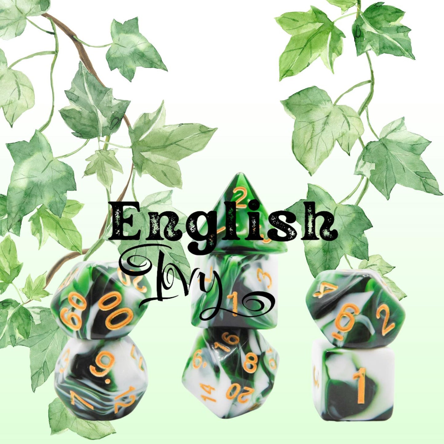 [ENGLISH IVY] ACRYLIC DICE SET